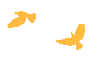 1785917777342127.gif 5.gif